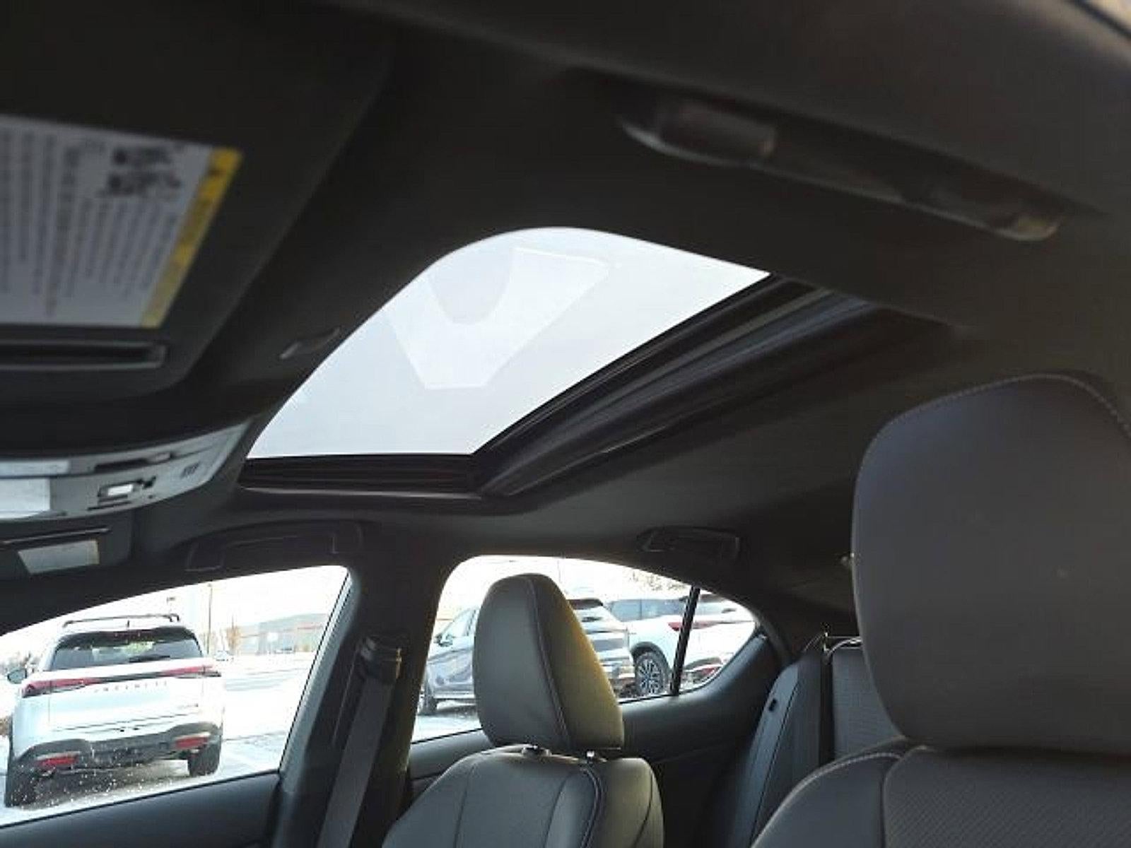 2023 Lexus IS 350 F SPORT AWD