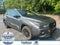 2024 Subaru Crosstrek Wilderness AWD