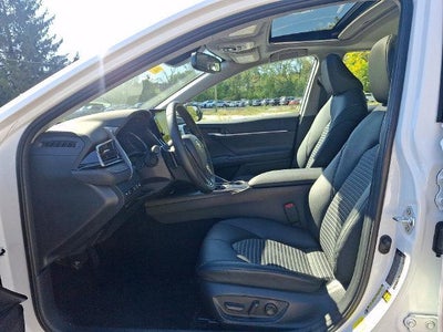 2023 Toyota Camry SE Auto (Natl)
