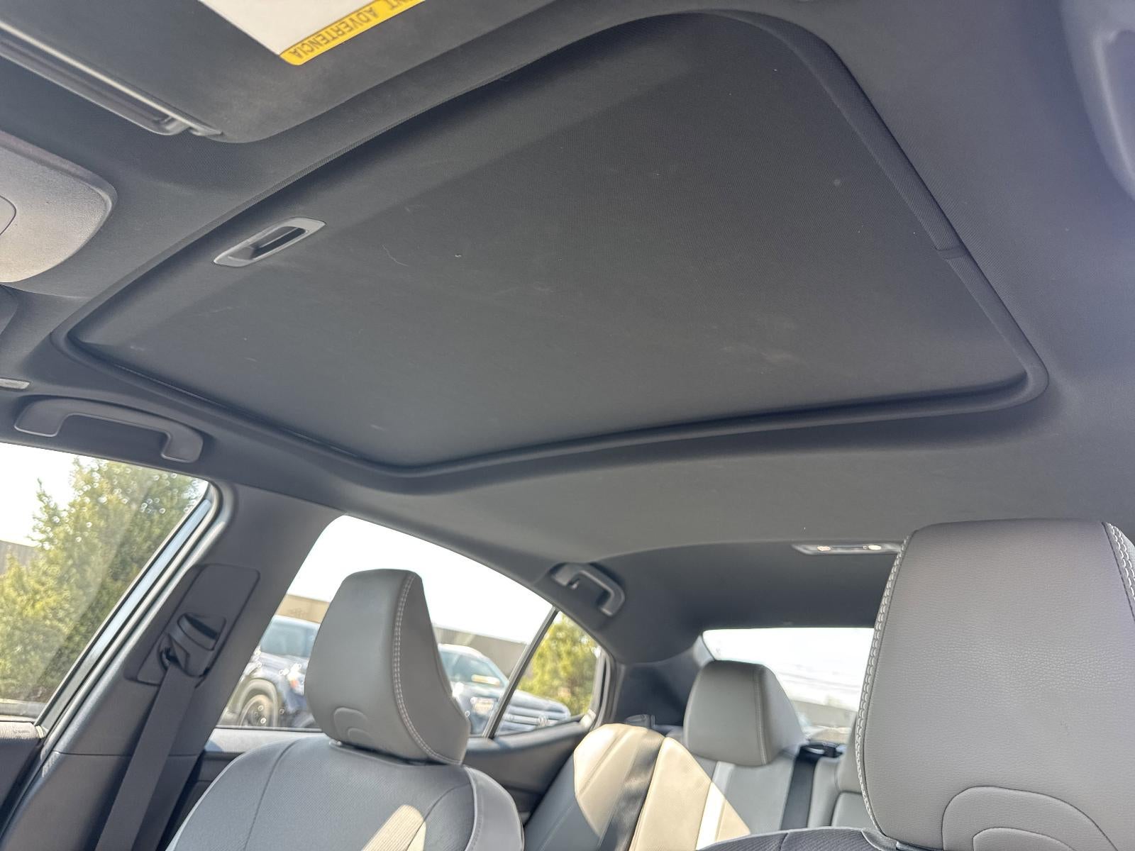 2025 Toyota Camry SE (SE)