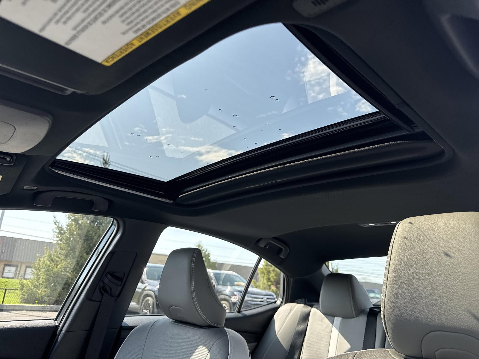 2025 Toyota Camry SE (SE)