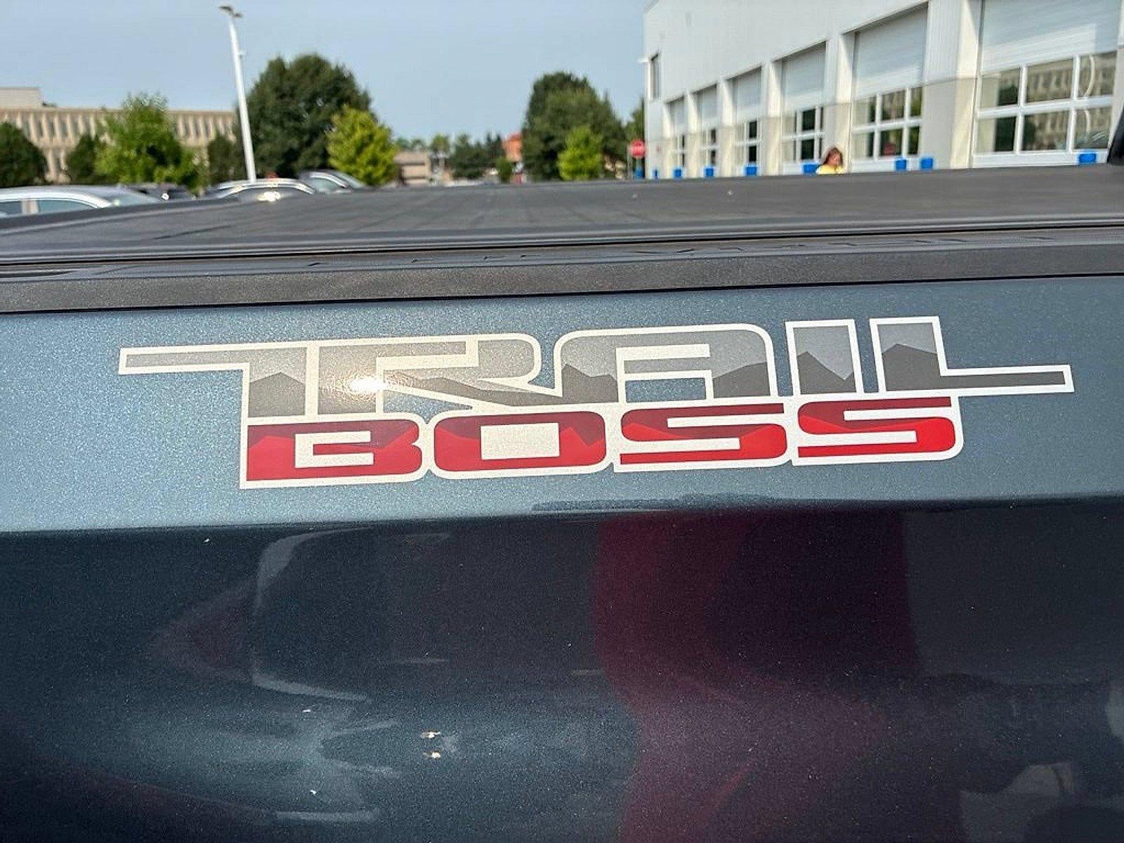 2020 Chevrolet Silverado 1500 Crew Cab Short Box 4-Wheel Drive Custom Trail Boss