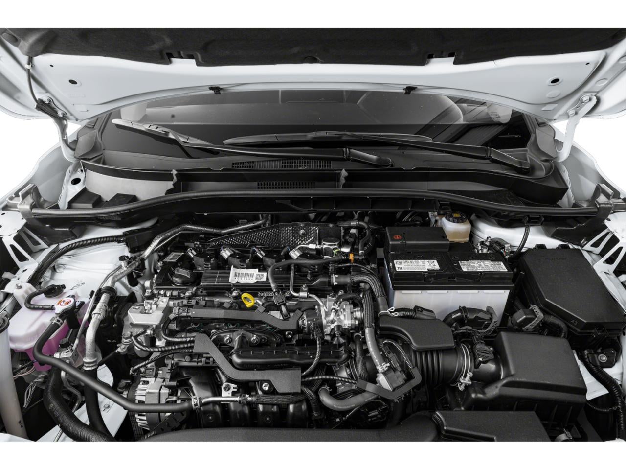 2023 Toyota Corolla Cross XLE 4WD (Natl)