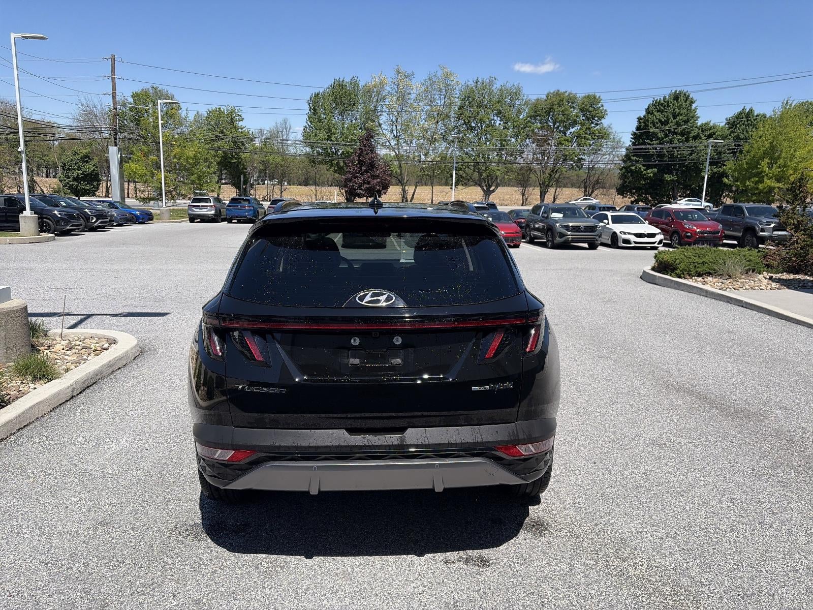 2024 Hyundai TUCSON HYBRID Limited AWD
