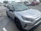 2019 Toyota RAV4 Hybrid XSE AWD (Natl)