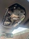 2024 BMW iX Sports Activity Vehicle