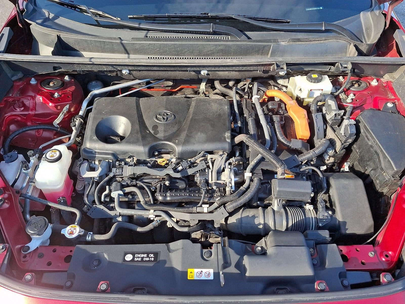 2019 Toyota RAV4 Hybrid LE AWD (Natl)