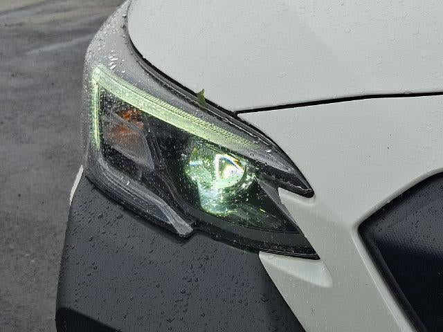 2025 Subaru Outback Wilderness AWD