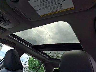 2019 Toyota Camry XLE Auto (SE)