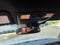 2018 Toyota Tacoma Limited